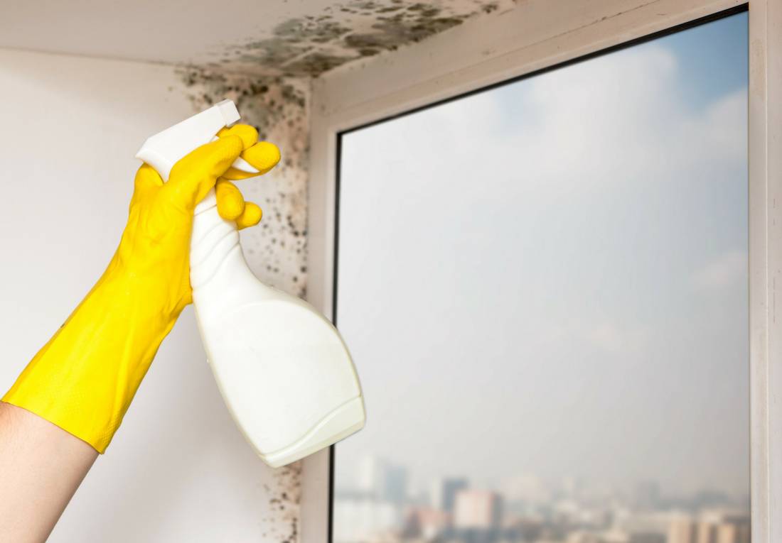 Is Mould In Your Home Or Workplace Making You Sick